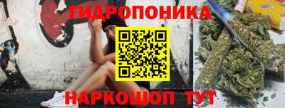 Альфа ПВП Заволжье
